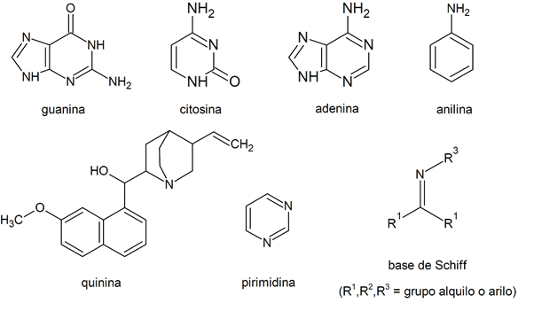 Bases químicas