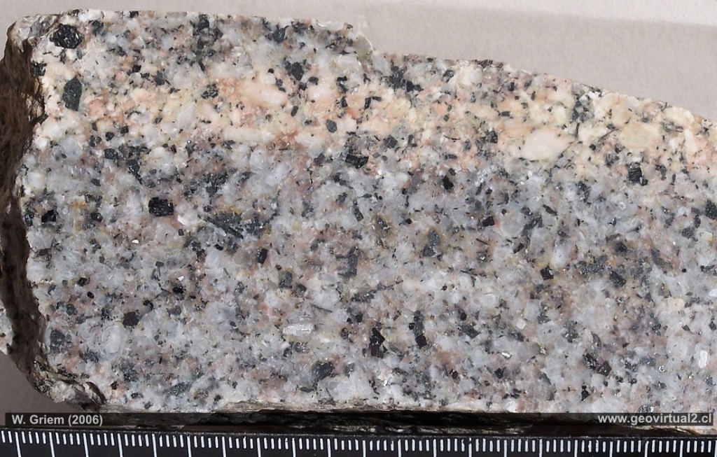 Granodiorita roca ignea