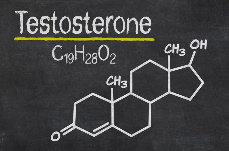 testosterona - hormonas