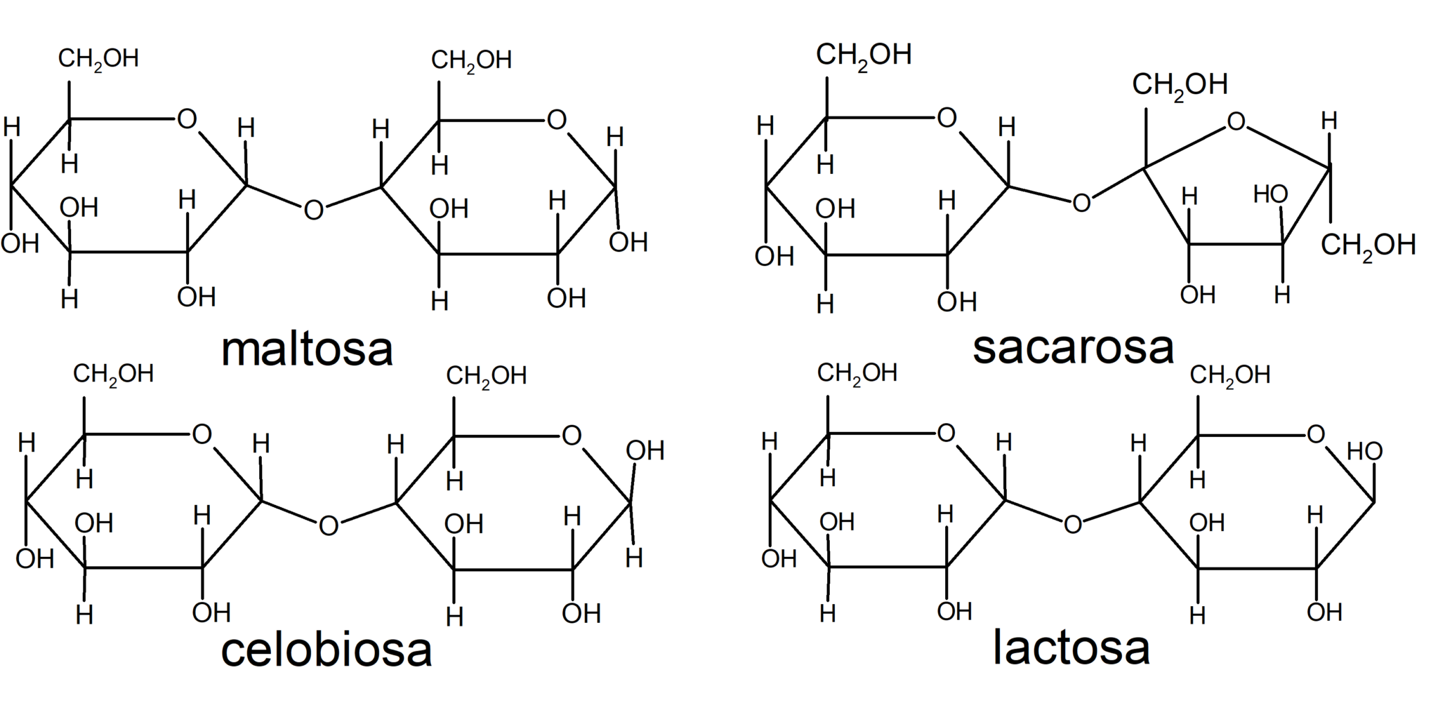 50 Ejemplos de Carbohidratos