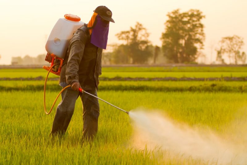 pesticidas contaminación del suelo