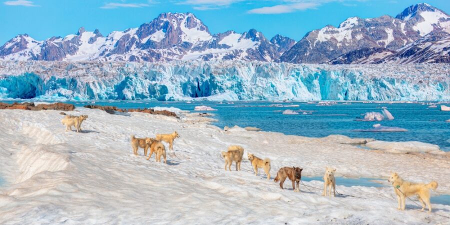 Desierto Polar Ártico