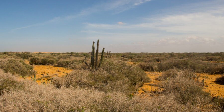 Desierto de la Guajira
