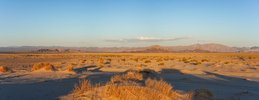 Desierto del Mojave