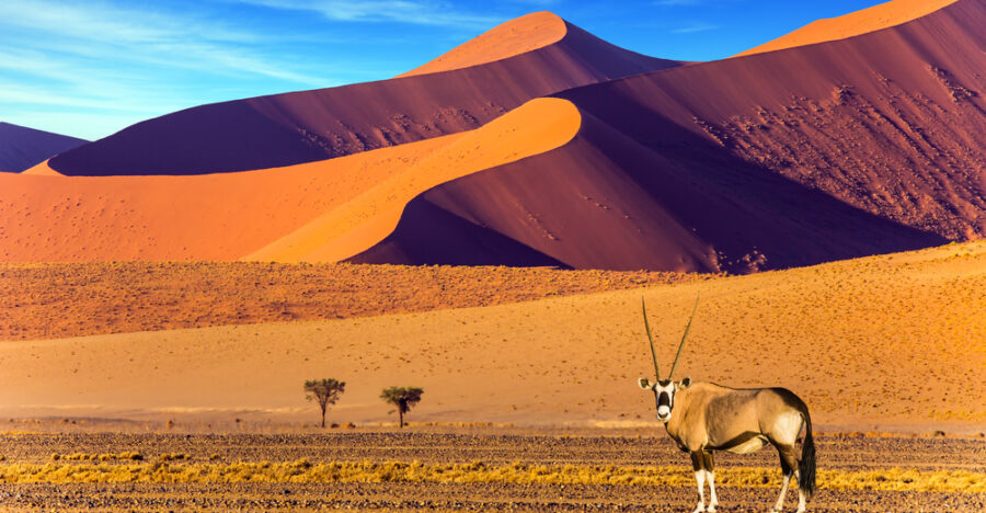 Desierto del Namib