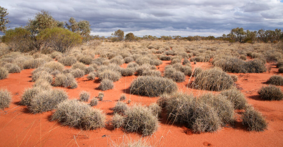 Gran Desierto de Victoria