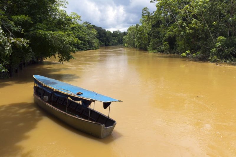 amazonas - rio y selva