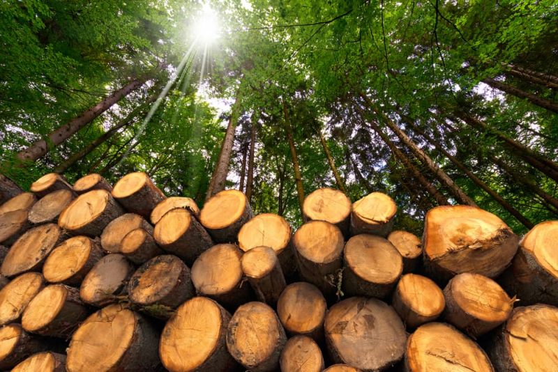 biomasa - combustible a base de madera
