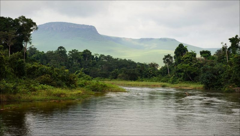 congo - selva y rio