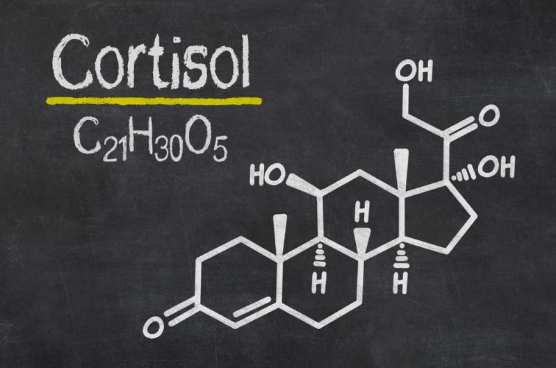 Hormona Cortisol