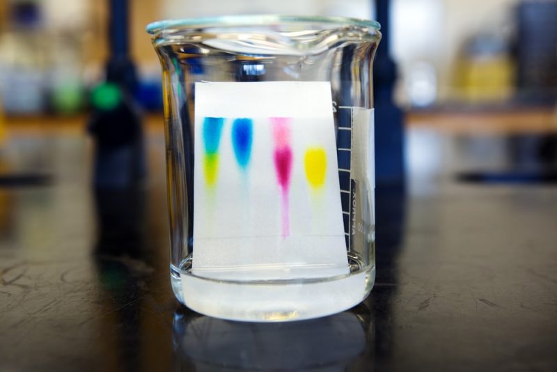 cromatografia - colores test