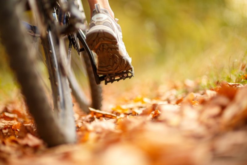 pedaleo en bicicleta - energia mecanica