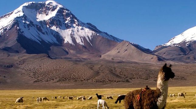 altiplano andino