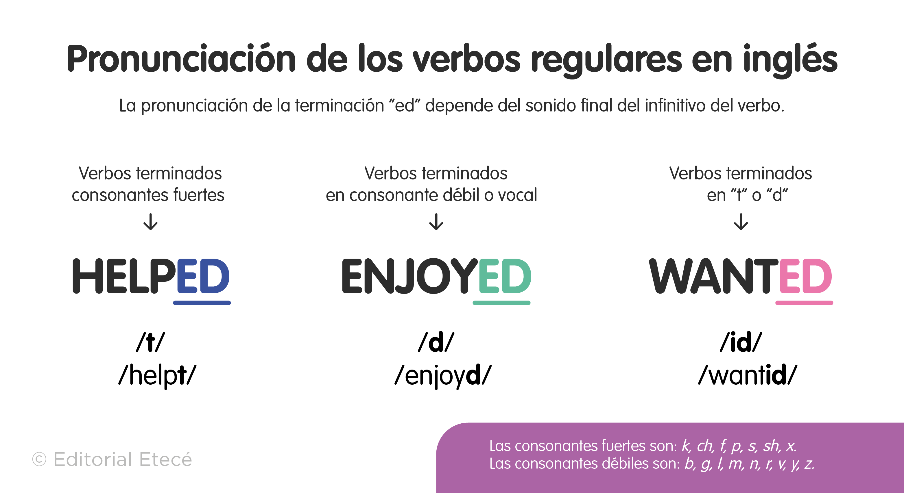 250 Ejemplos De Verbos Regulares En Inglés