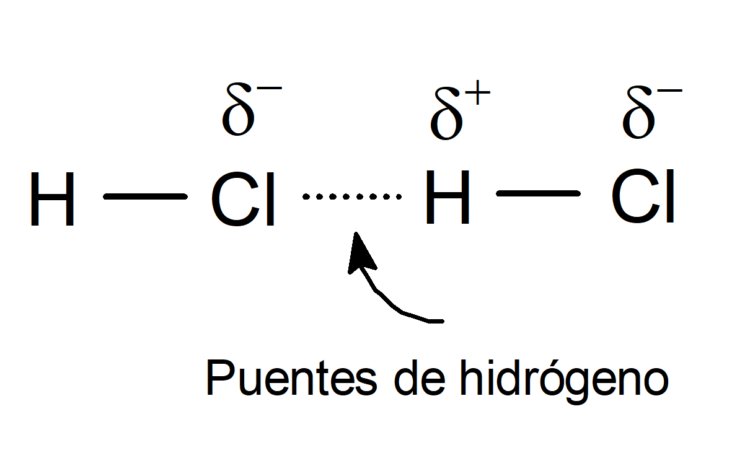 Ejemplos de Enlaces de Hidrógeno