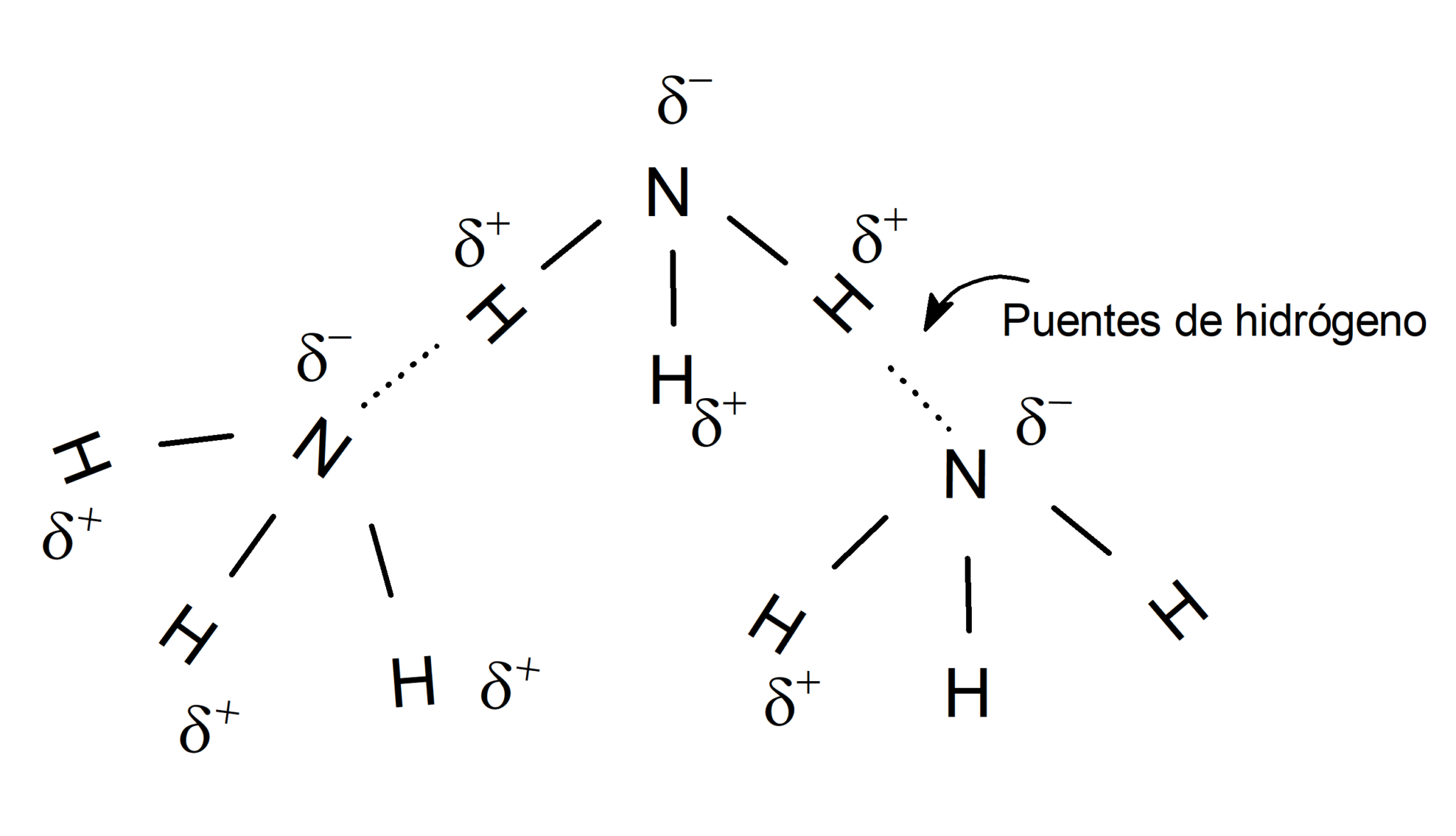 Ejemplos de Enlaces de Hidrógeno